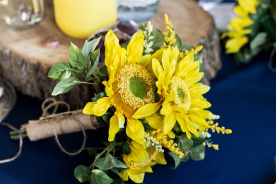 View More: http://lisalemmonspowersphotography.pass.us/caldwellwedding